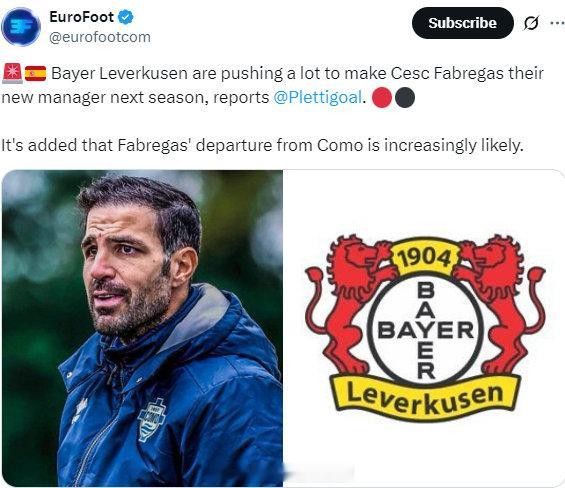 据报道，勒沃库森正在努力争取法布雷加斯成为他们下赛季的新主教练，还有消息称，法布