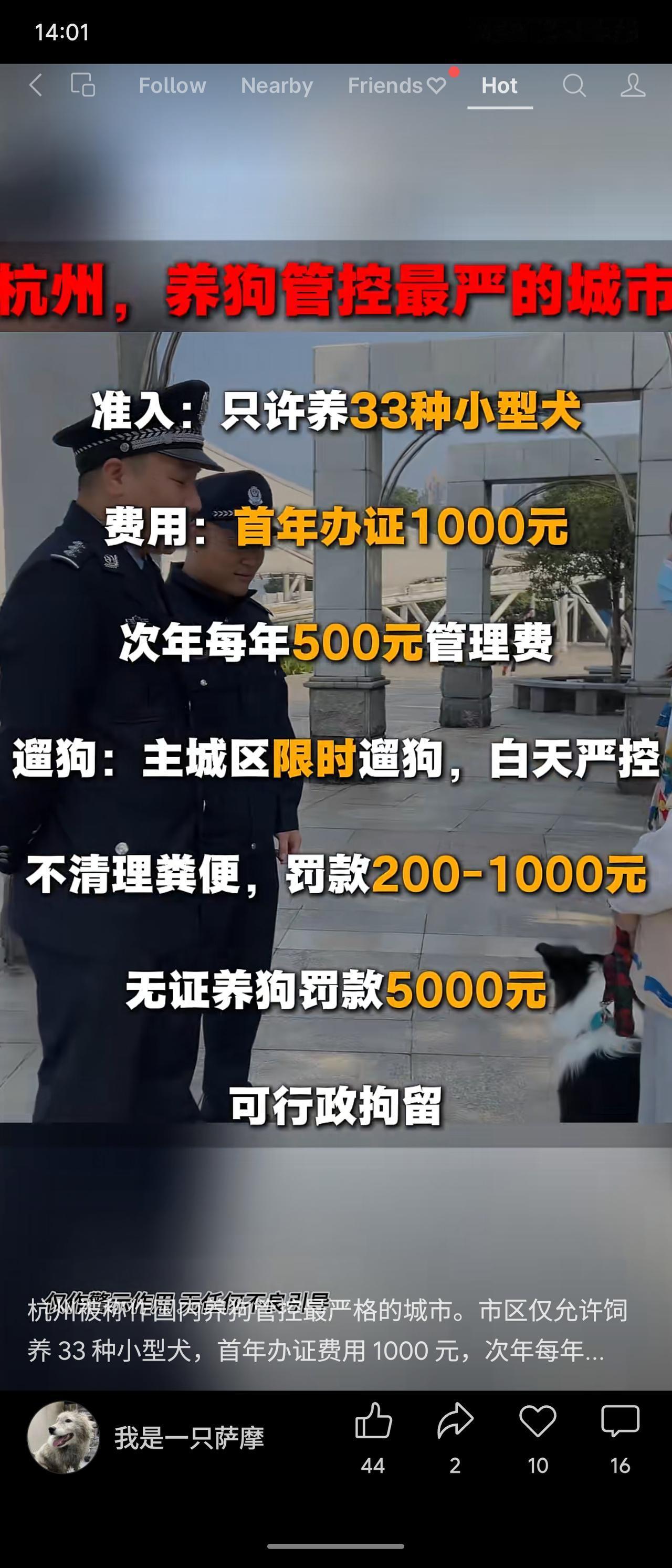 杭州实行全国最严养狗管控：仅准养33种小型犬，首年办证1000元、续年500元；