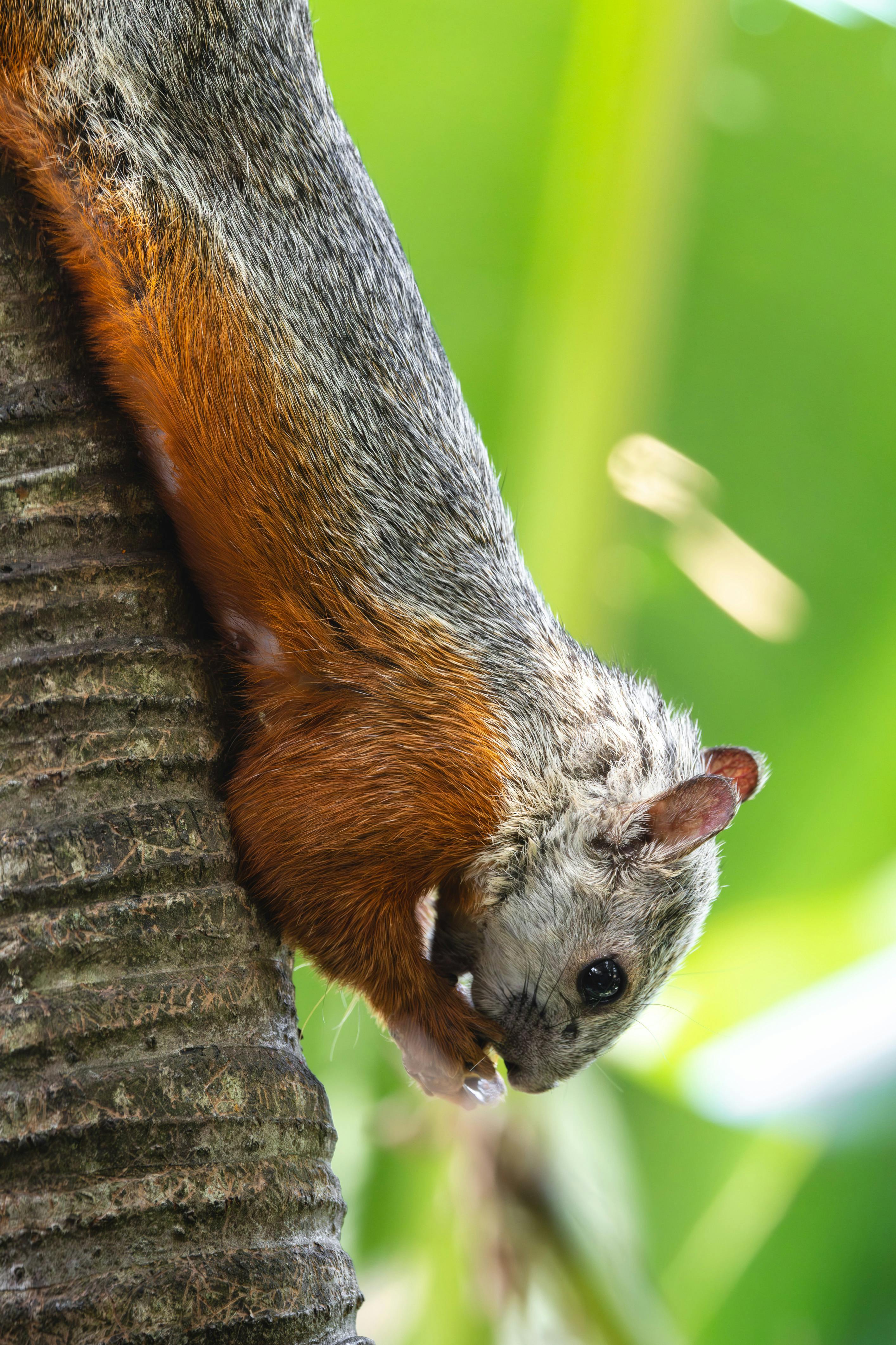 老规矩，睡前一更。明日甲辰  庚午  庚子。好家伙，伤官见官，月破大耗，很少毕其