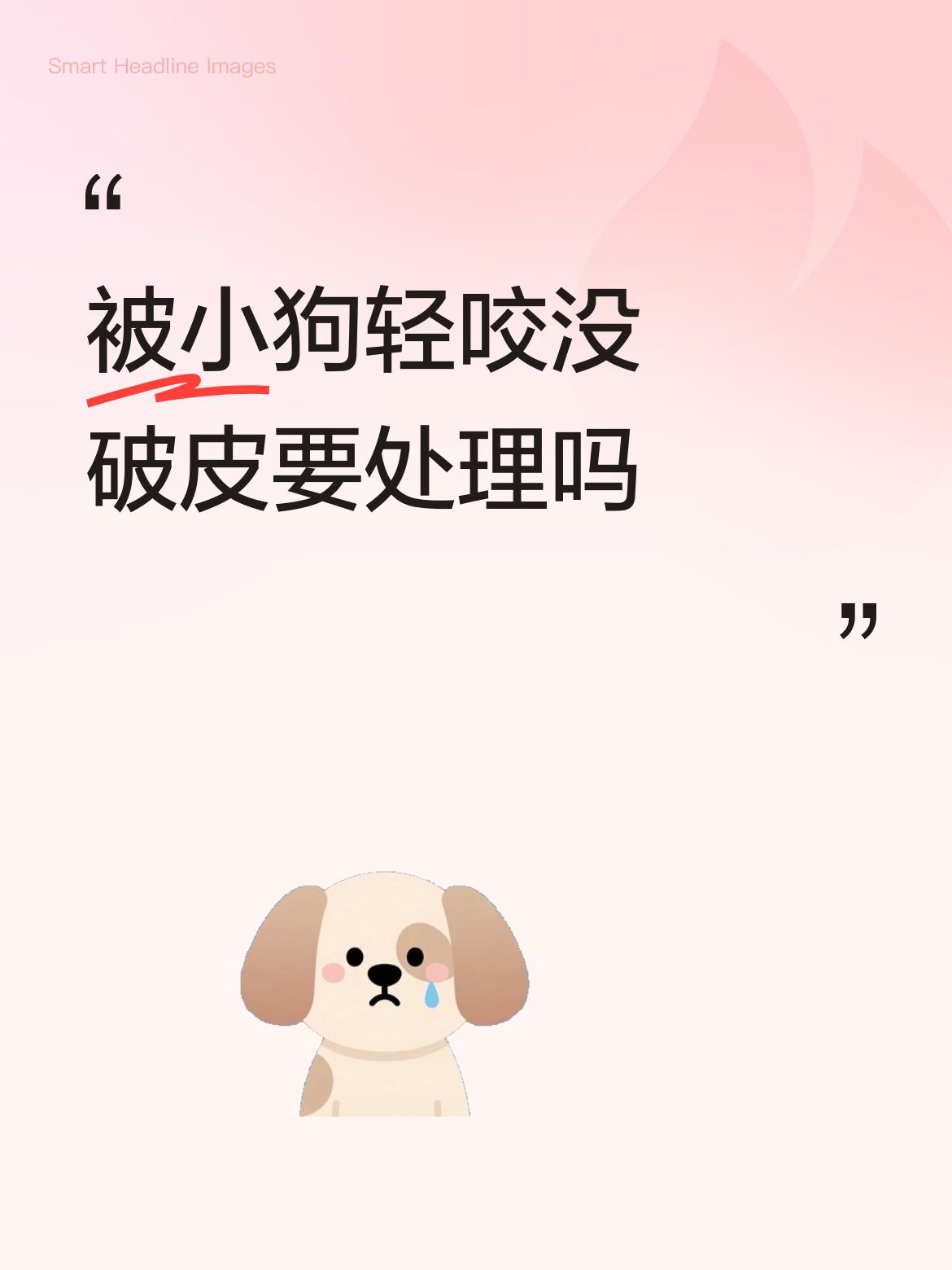 被小狗轻咬没破皮到底要不要处理，这事儿还挺让人纠结。我之前就被自家小狗轻轻啃了一