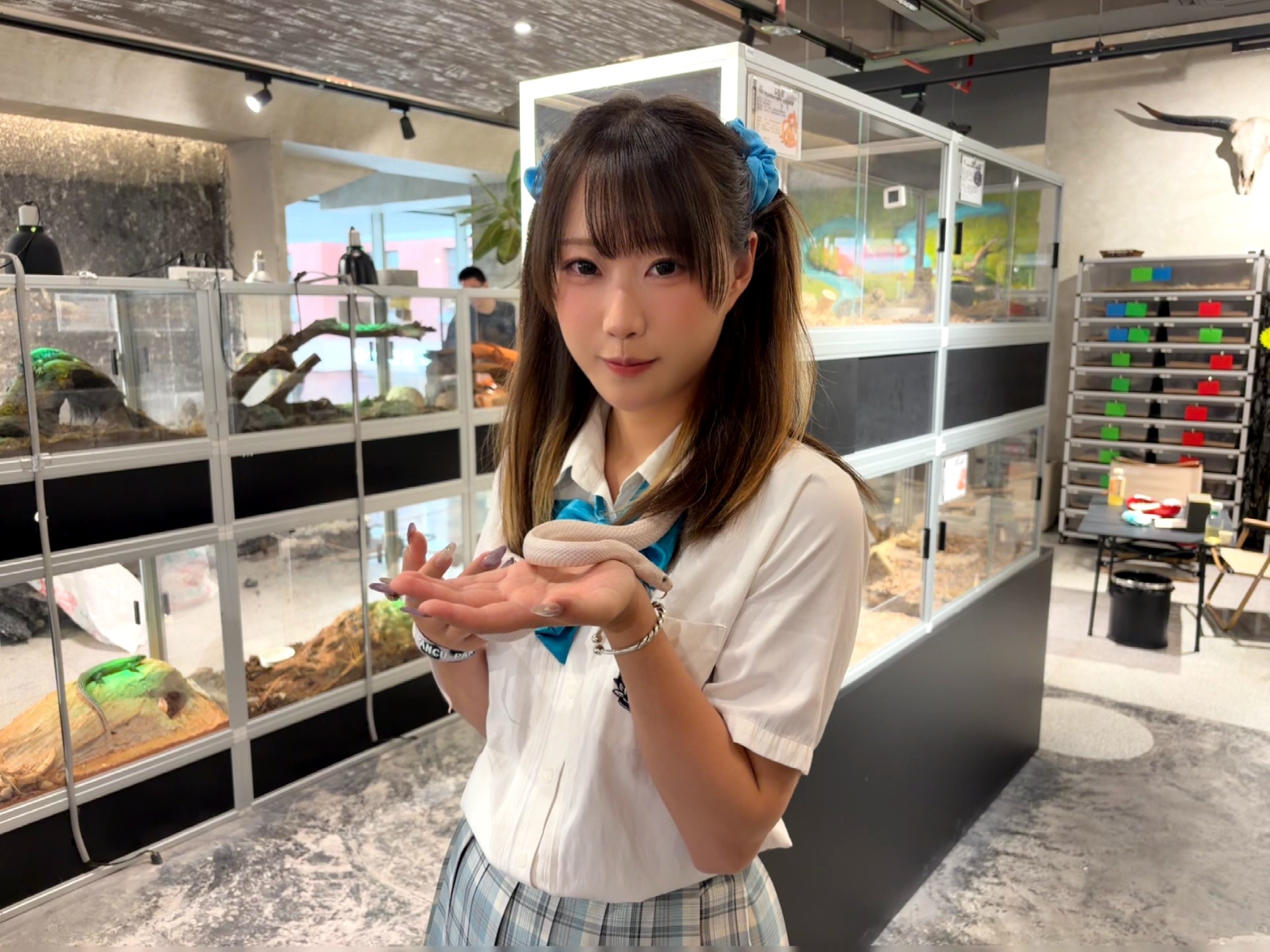 呜呼↗ 