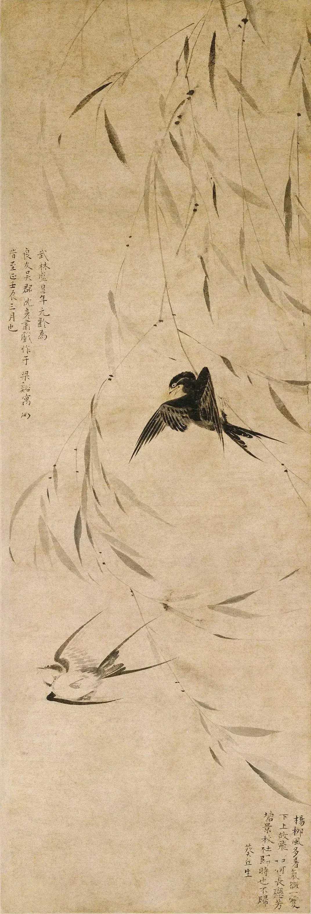 元 盛昌年《柳燕图》。盛昌年，元代晚期画家，生卒年不详，武林（今浙江杭州）人，工