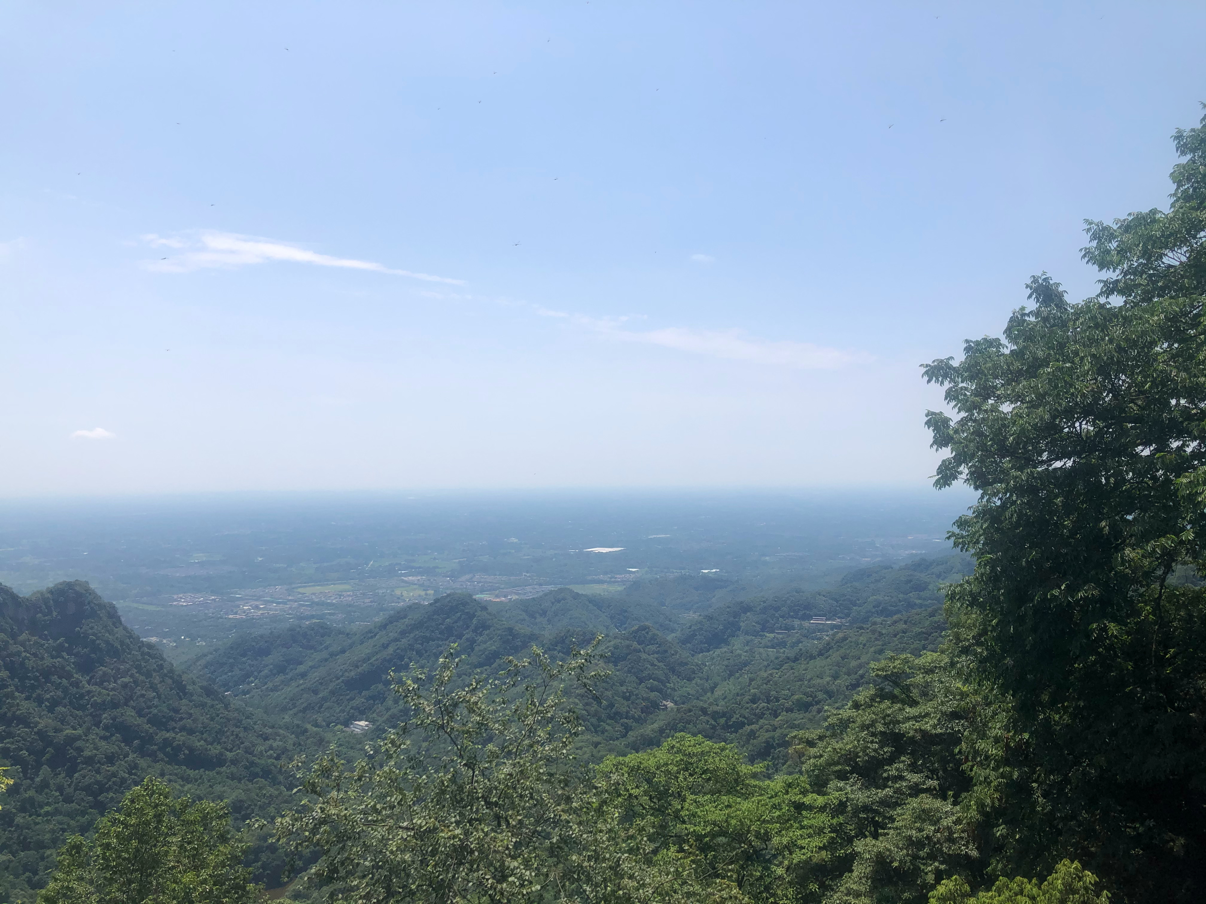 好久没爬山了 我以为爬了四个小时 实际才过了两个半小时 长时间不运动导致的身体酸