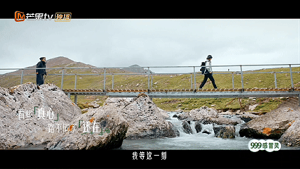 后会友期定档1022后会友期 芒果这次真的敢尝试新题材，把走散的老友聚在一起旅行