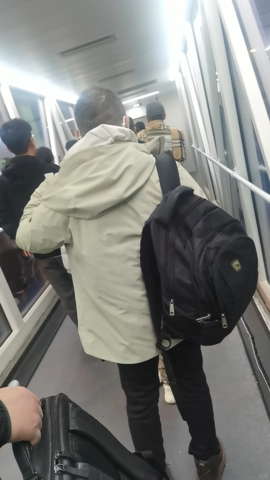 再见