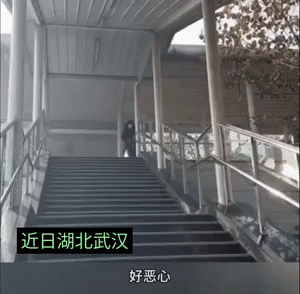 近日湖北武汉，一男子在地铁站里，对着女人们裸露下体，女人们大呼恶心死了，我要给我