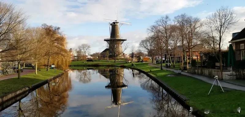 荷兰这强盗本性真是根深蒂固啊！17、18 世纪，荷兰西印度公司搞奴隶贸易，至少 