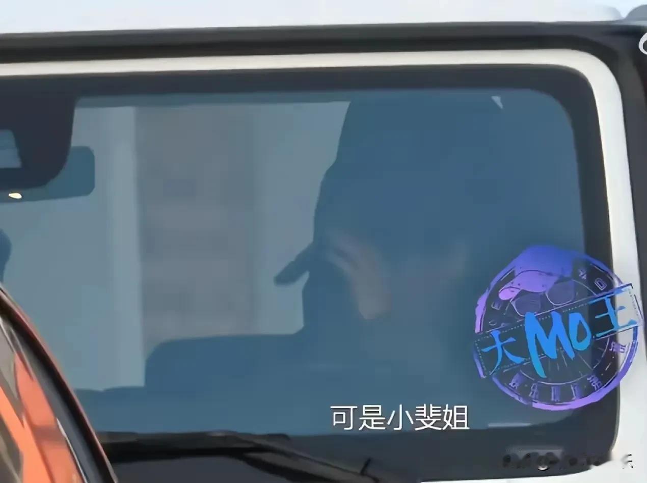 很好奇，张小斐怎么这样开车？
短短几公里路程就违规6次，
还好是没撞到车和人，