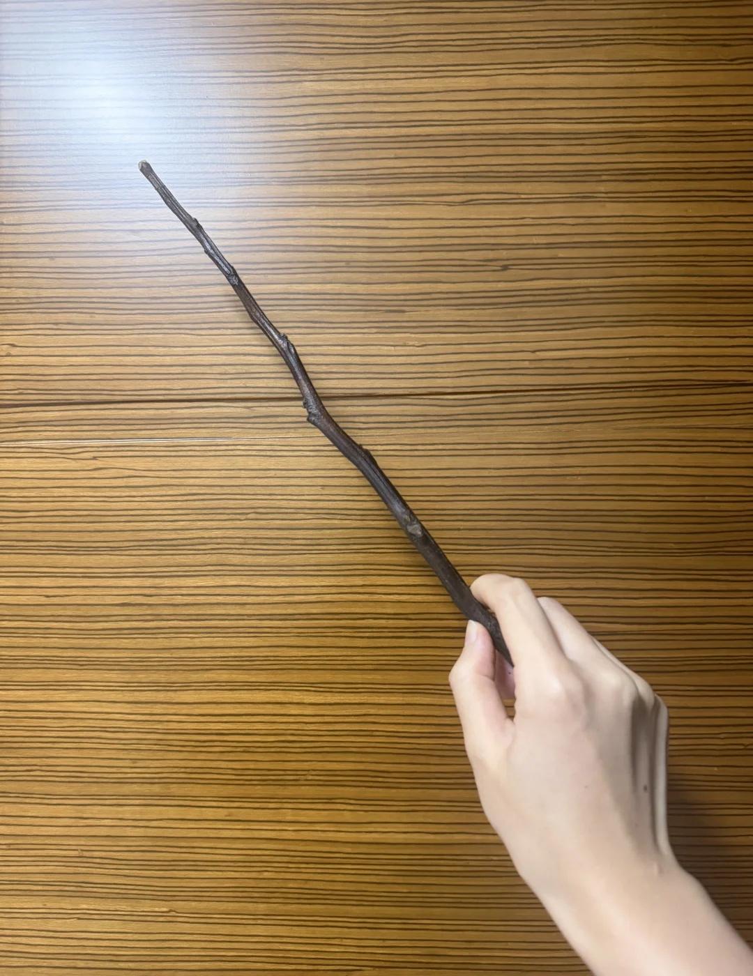 后续-关于10天前路边捡的完美魔杖
经过我的打磨上油，去除了一些毛刺，肉眼看质感