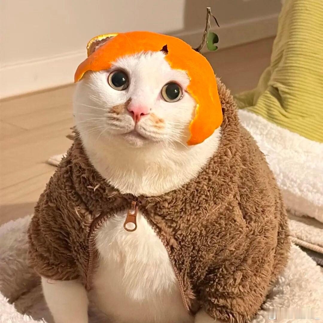 刚刷到就去下了一个试了试目前4.12了，看看能不能最后破100万元小马卡我就不想