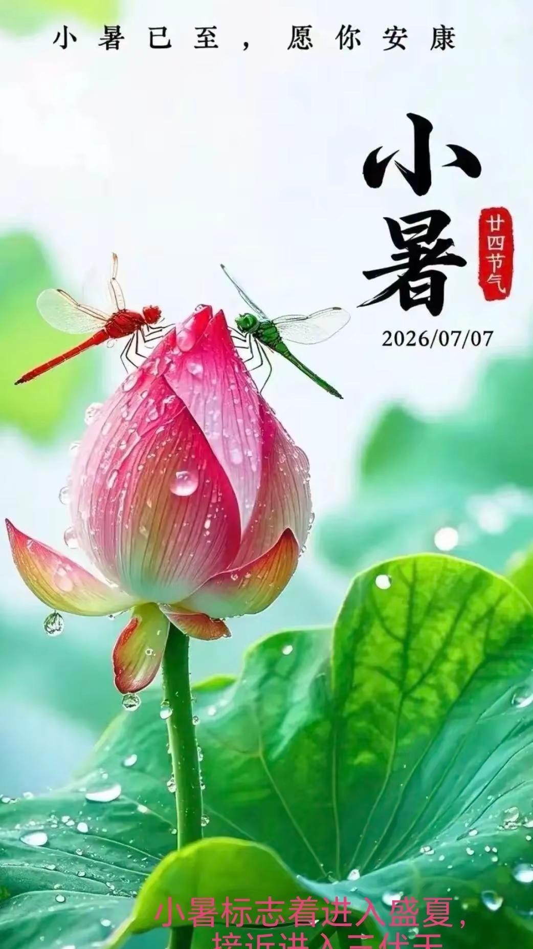 小暑至，盛夏始！但是今年这个夏天，现在这种天气，空调都得歇业半天。没有黏腻的汗水