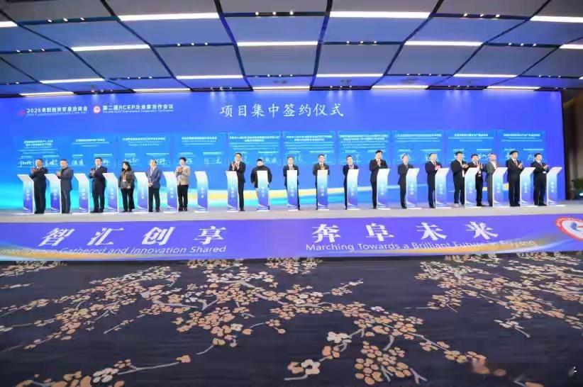 2025阜阳投资贸易洽谈会 第二届RCEP企业家合作会议传来消息：阜阳经开区与安