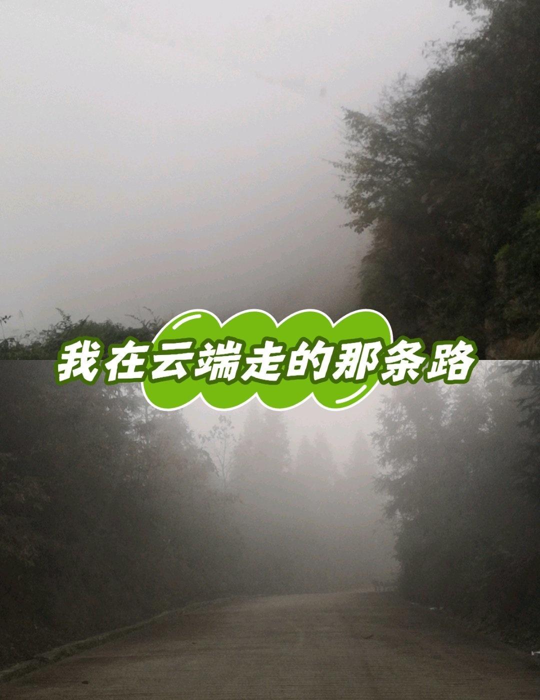 云雾缭绕，人间仙境，置身其中，仿佛山中仙天天领红包 山路 自驾去森林深呼吸 盘山