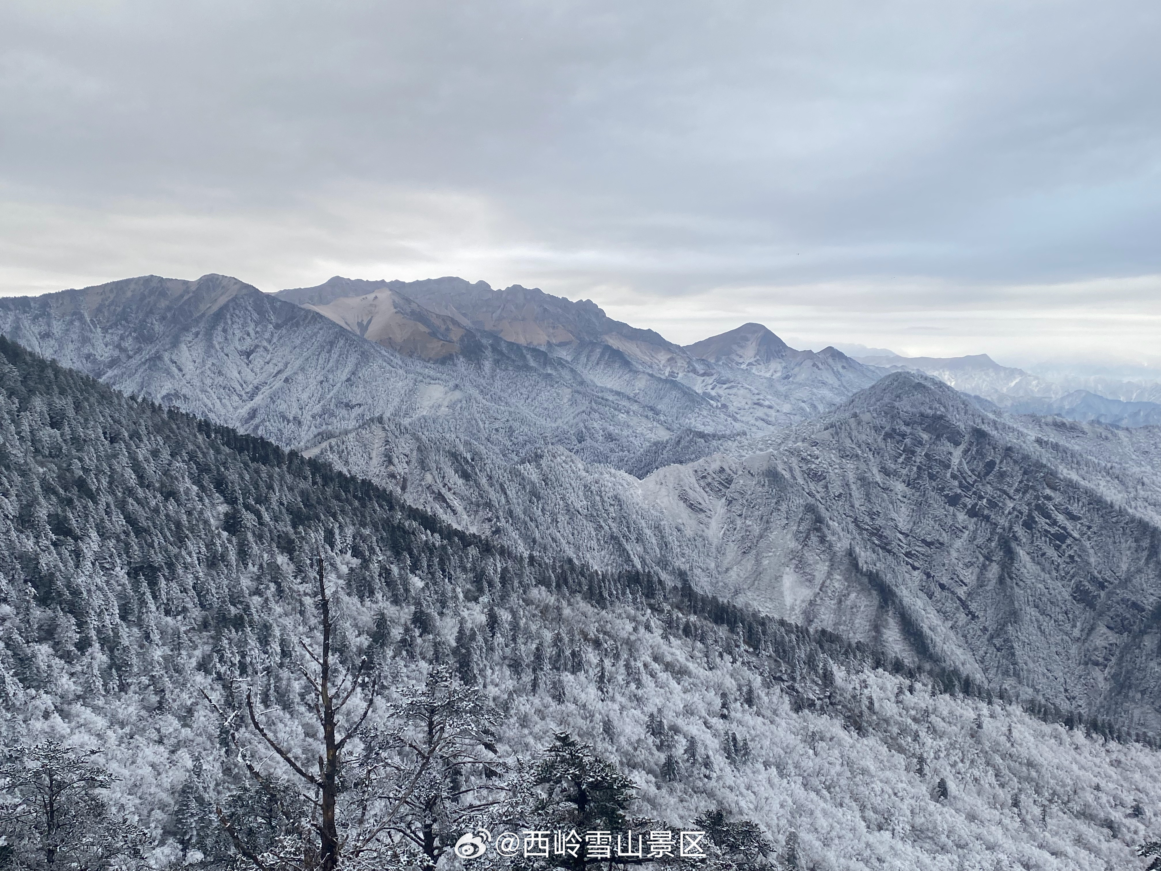 ❄️ 西岭雪山的白色浪漫，准时送达！☀️日月坪今晨绝美上新！夜雪过后，万里纯白，