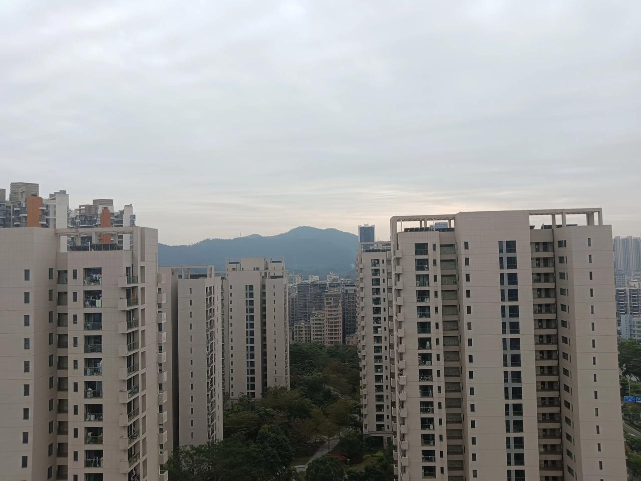 深圳这几天看似春緑一片，其实，穿着从北京带来的羽绒服，一点违和感都没有。司机说，