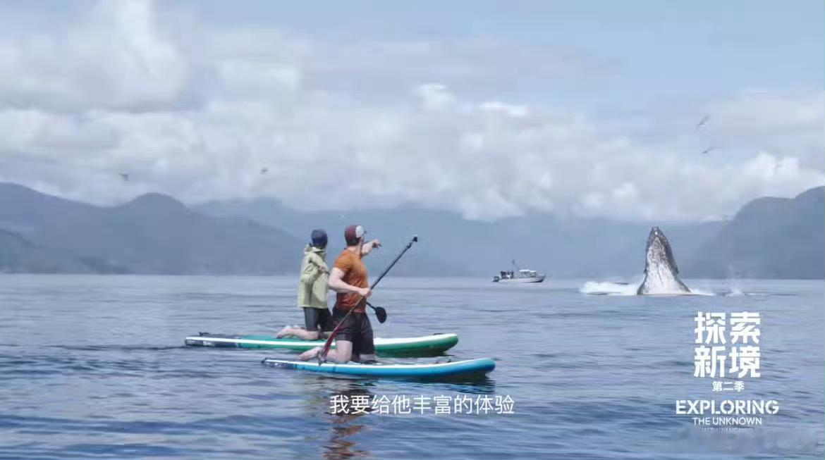 王大胆欧气爆棚，近距离偶遇鲸鱼🐳，大家都来沾沾王一博的福气。