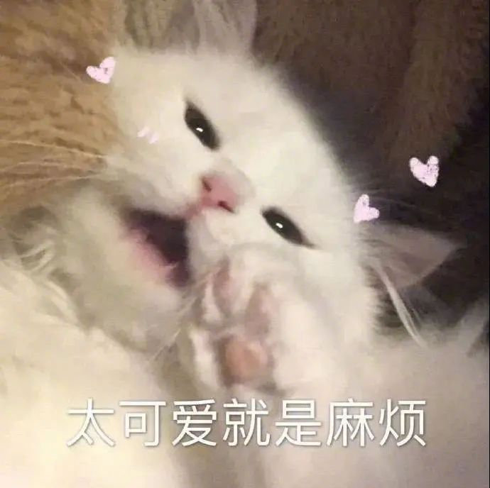 “你是我的今天和所有的明天” 
