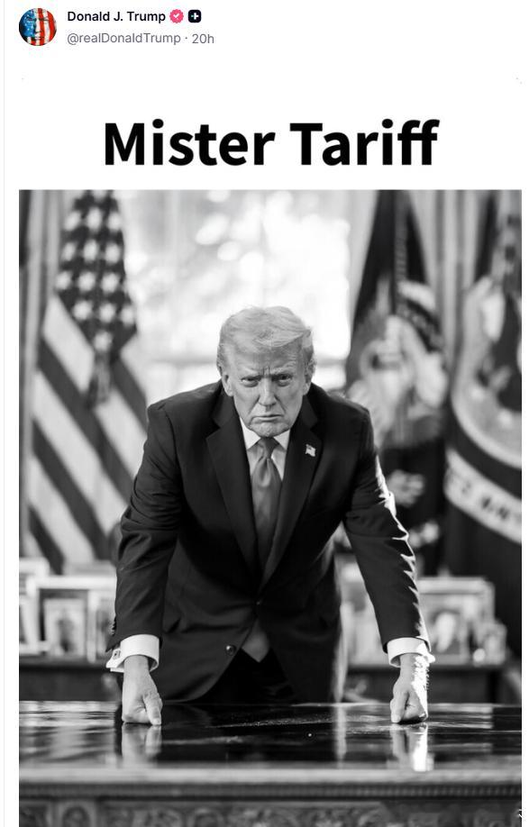 【黄金时代】川普称自己为关税先生MISTER TARIFF美国和欧洲当代史川普主