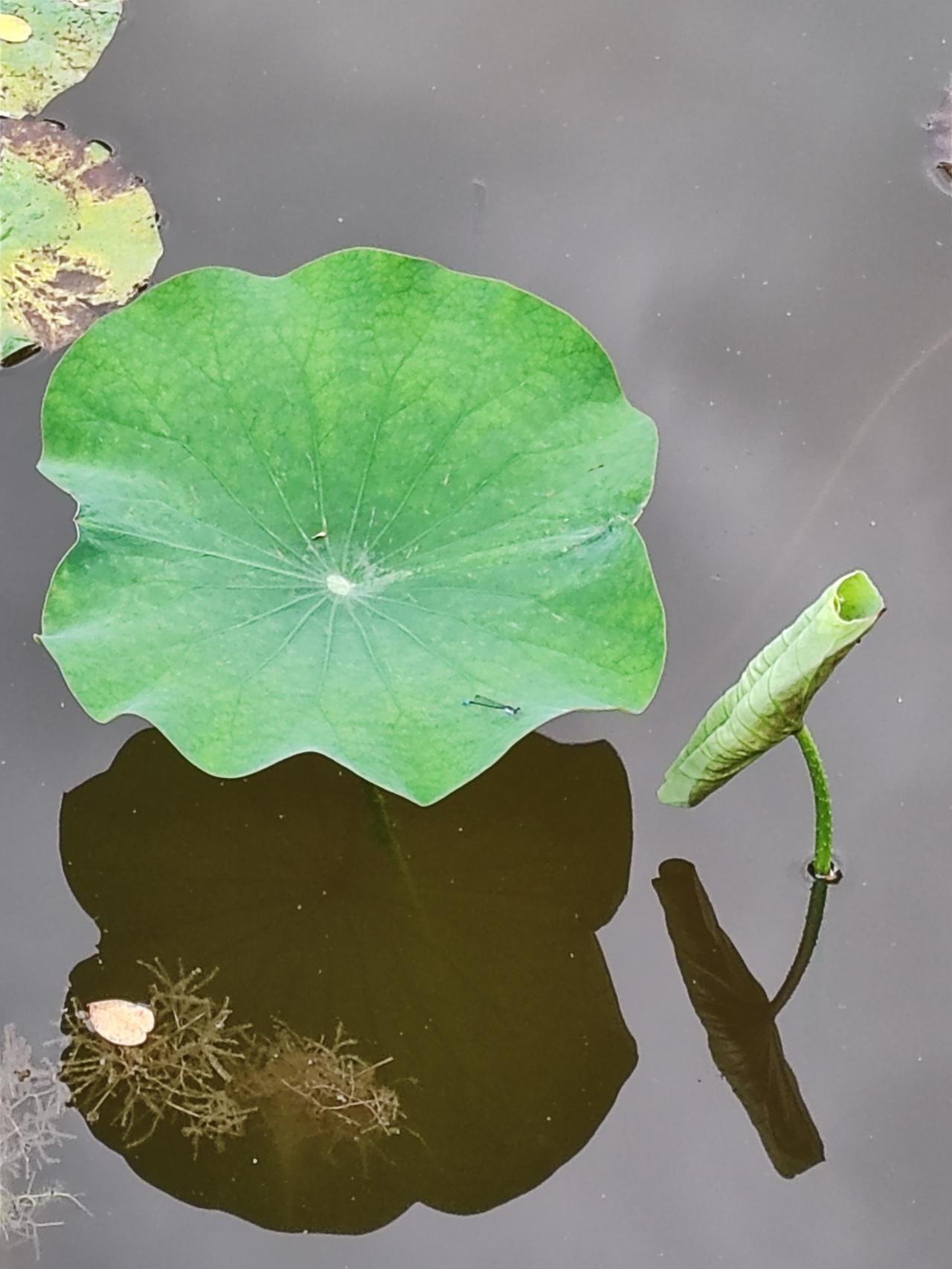 你这就是想不开，平白给自己添堵。人到了一定年纪，就主动退居二线，让年轻人去一线拼