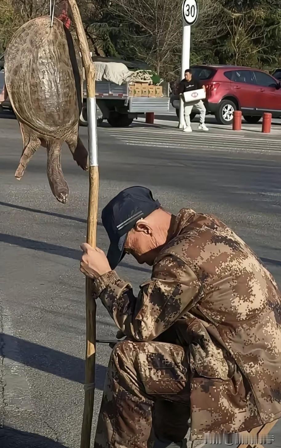 亲眼所见街头老人的怪怪
            吊龟现象
       若不亲眼
