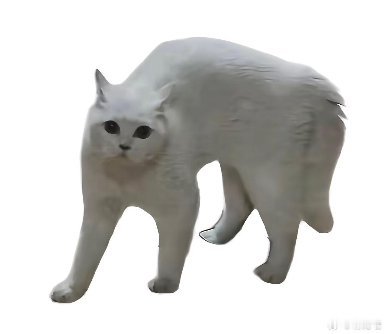 收集一些老吴 