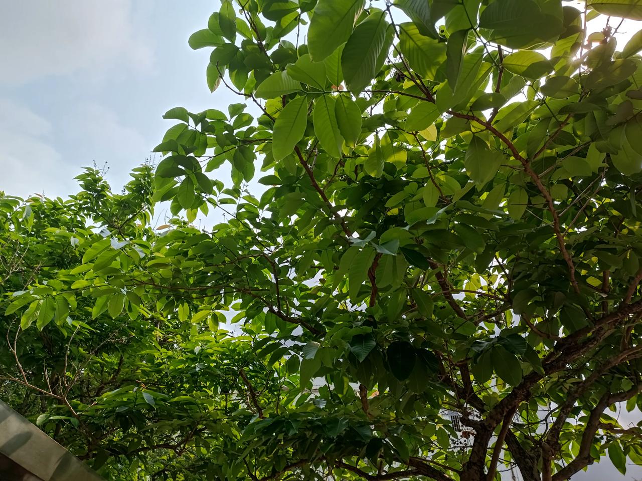 星期日晚上
天气晴朗
气温舒适
忙忙碌碌又一天
晚上才闲打打卡
晚上好[爆竹][