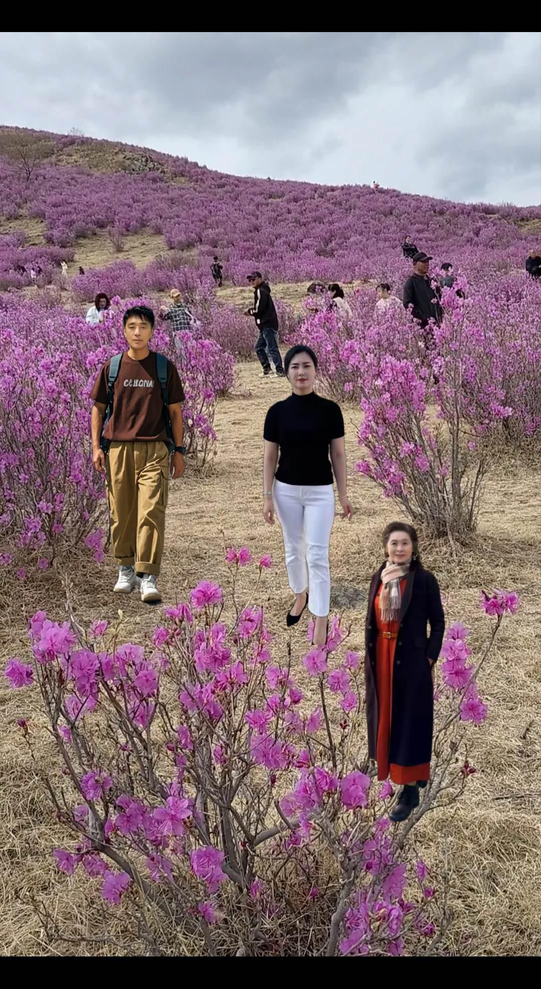 花开的时候，你在来见我一一