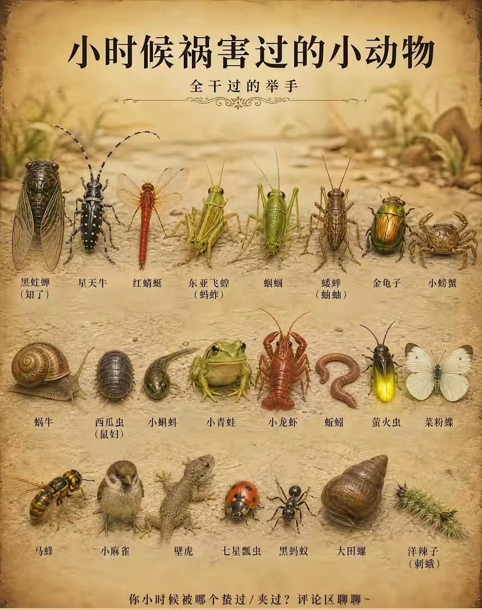 好像都祸害过