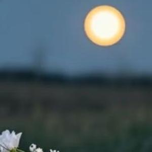 晚安心语 🌙"今天的疲惫已卸下，愿甜梦像星星一样✨，点亮你每一个清晨！🌞" 