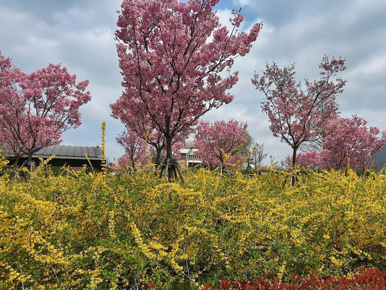 什么海不是海花海、人海、辞海，不是海。