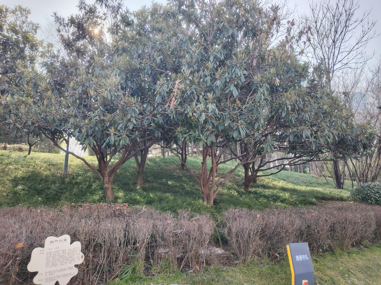 有一位家长看到孩子的学习成绩不好，班主任经常埋怨他的孩子不好好学习。但这位家长觉