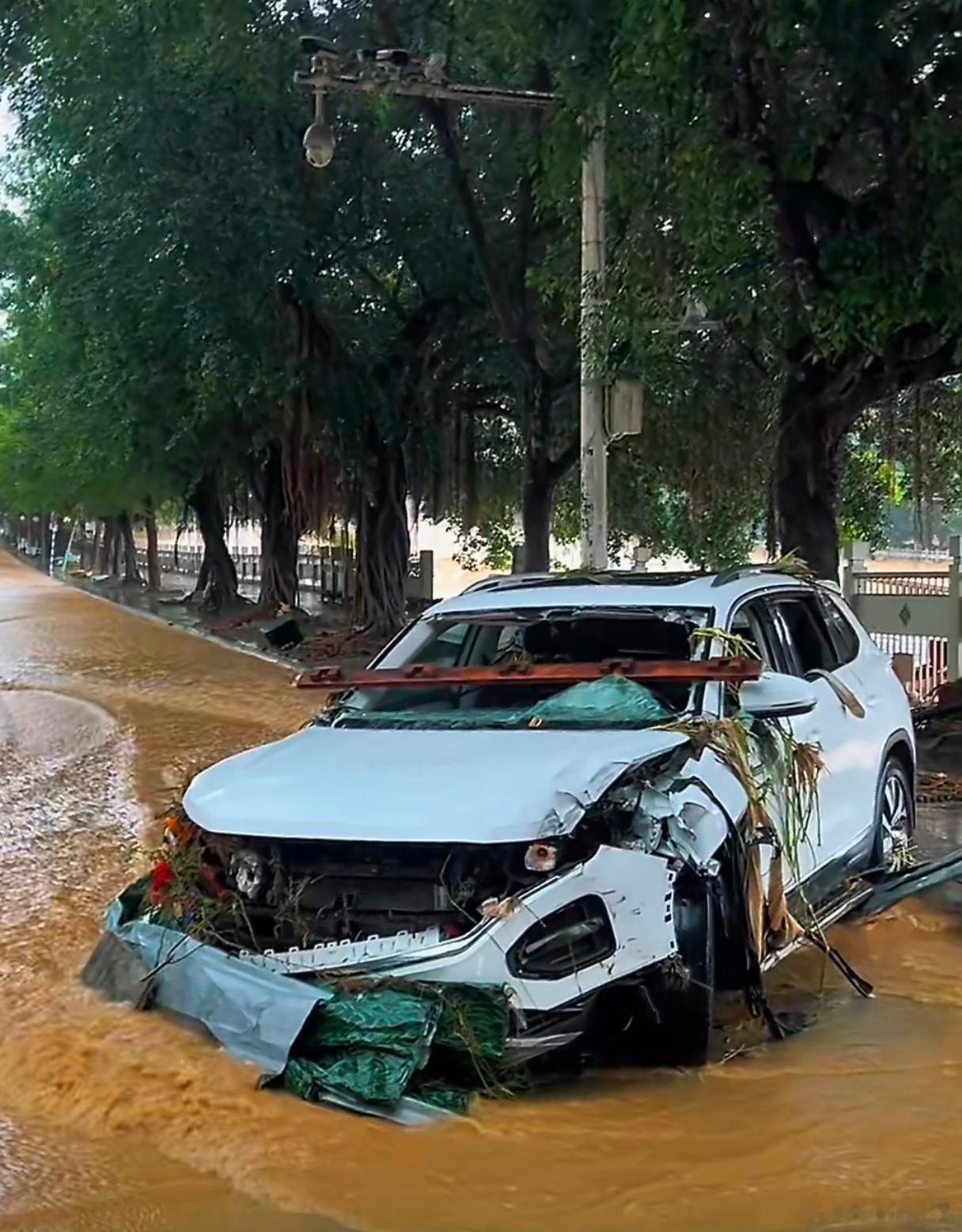 海南大暴雨特大暴雨最近怎么老是大暴雨涨水今年有点不对劲啊杭州今年都有秋天了早晚特