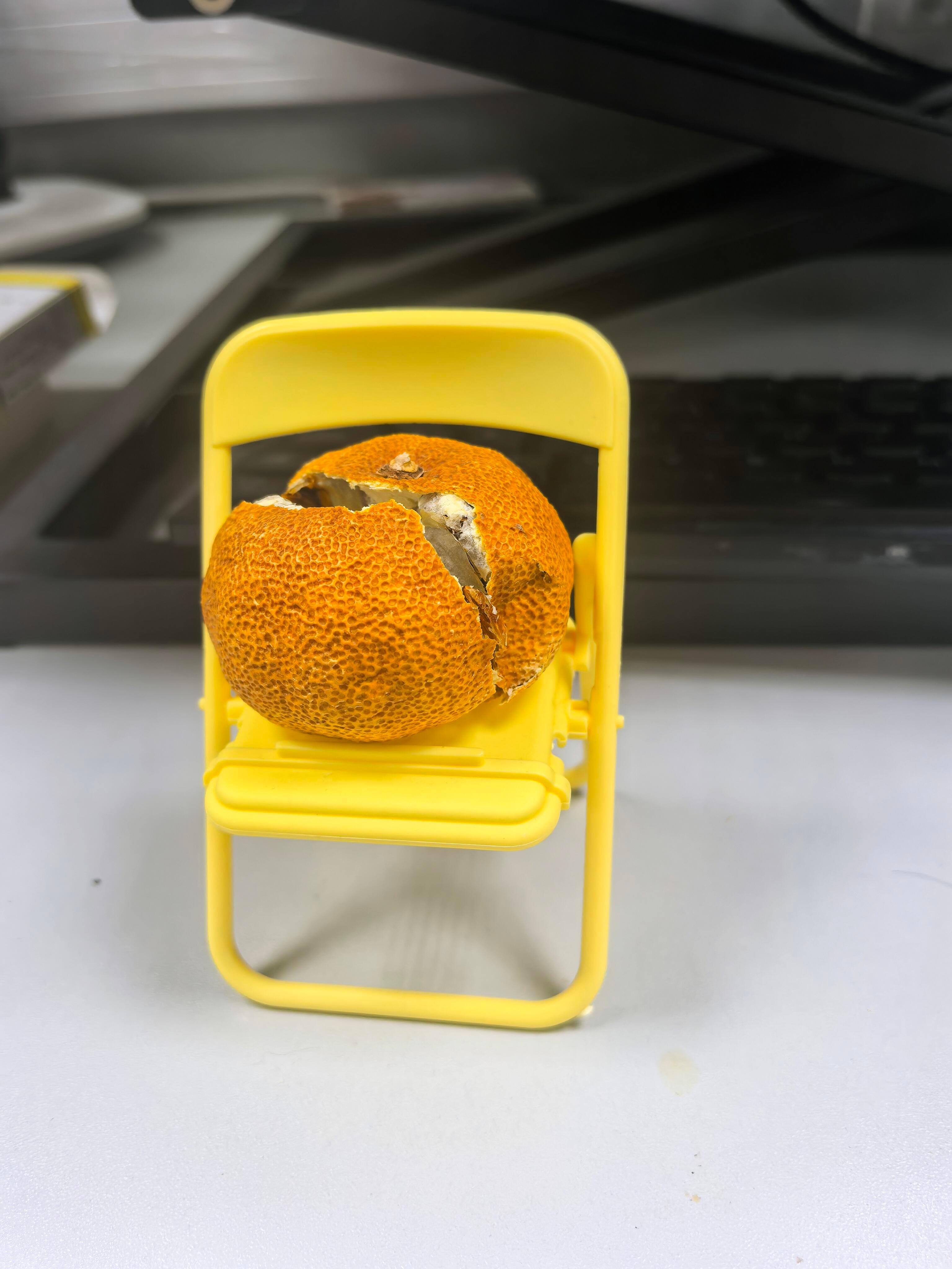 在办公室自然风干的橘子 