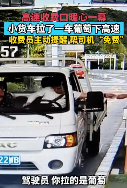 “这名收费员火了！”浙江杭州，一货车司机拉了一车葡萄下高速，到收费窗口准备付钱时
