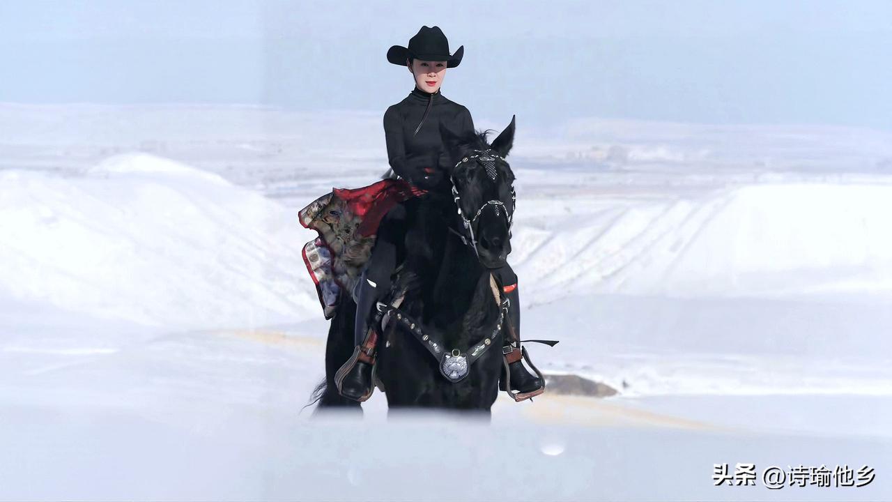 维岁在乙已，序属严冬，朔风凛冽，悲思弥襟。 余闻娇龙女士之讣，恸彻心扉，乃登高望