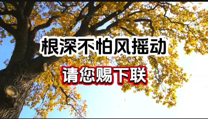 对对联 上联：根深不怕风摇动
请您赐下联
上联：根深不怕风摇动
下联：
请您赐下