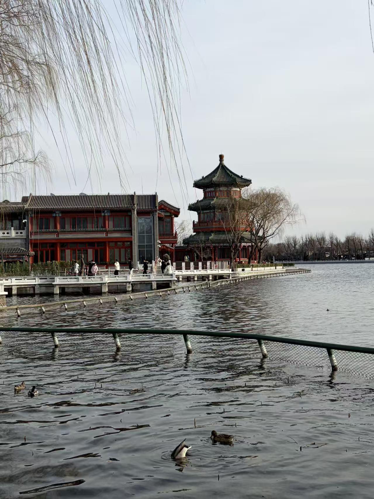 分享一张街景照片
街景漫步照 街道风景随手拍 街景街拍 街景随随手拍 街景