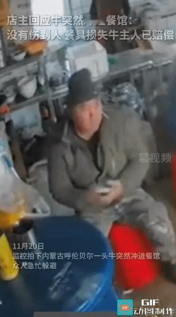 “这牛是真饿了!”内蒙古呼伦贝尔，一家餐馆内，上演了一场“牛气冲天”的意外。一头