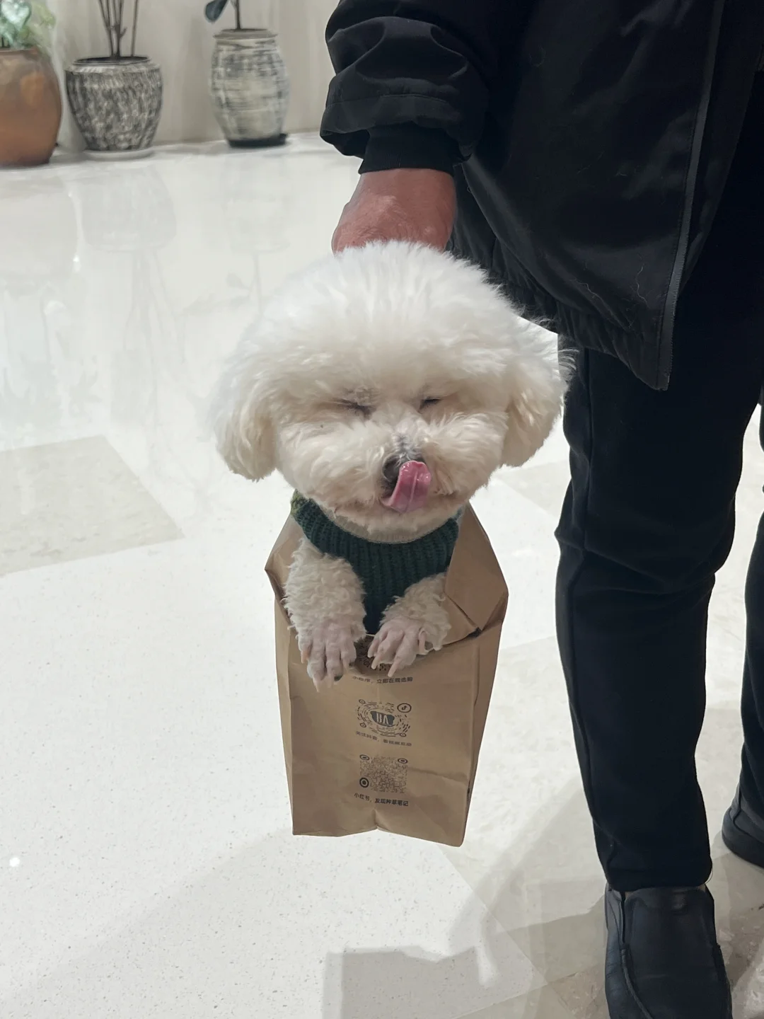 商场里惊现狗袋