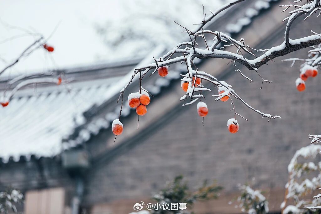 河北下雪！2026年的第一场雪，今天落在了张家口中南部和承德南部。愿您出行平安，
