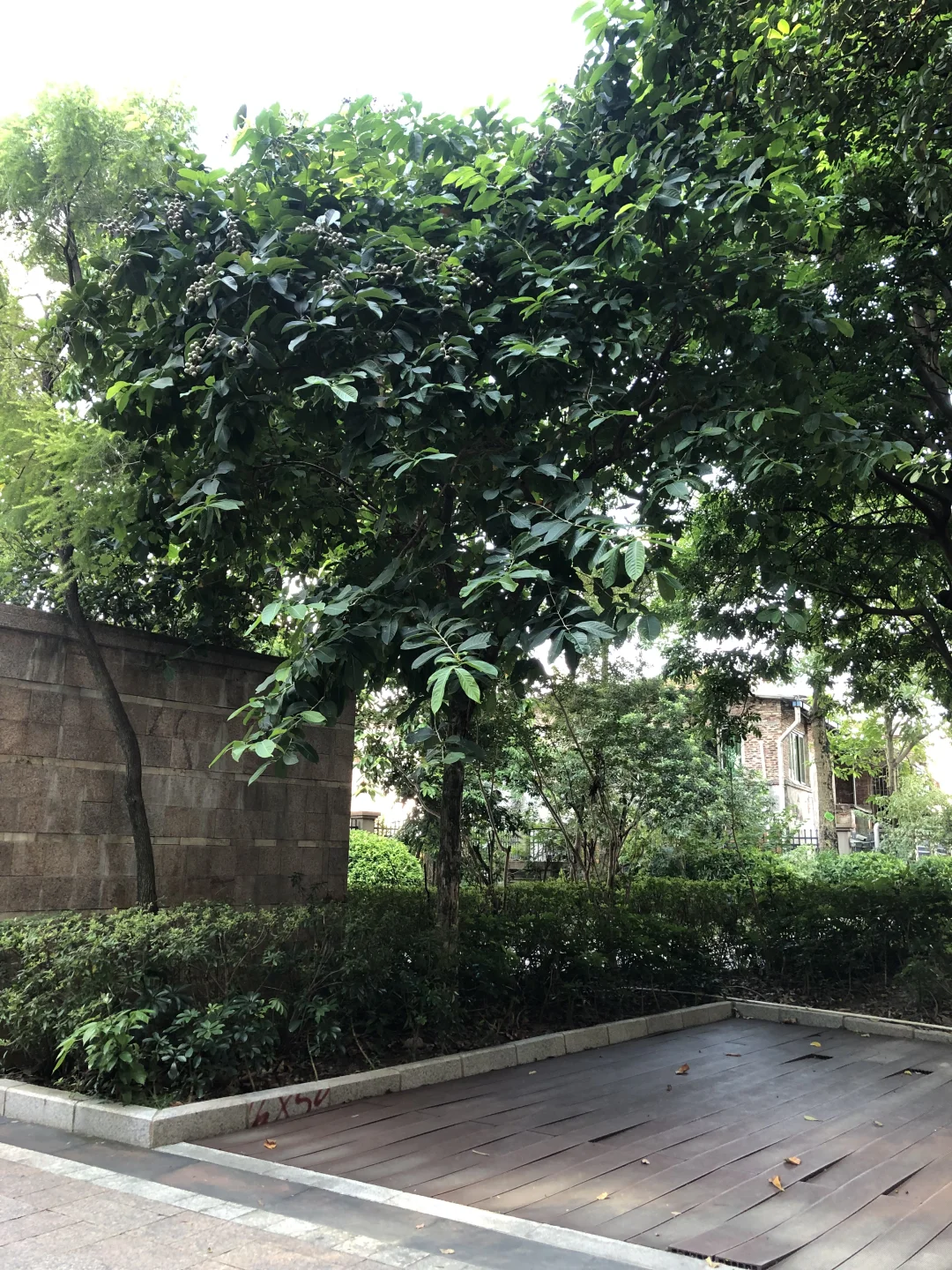 记一个休闲的下午！