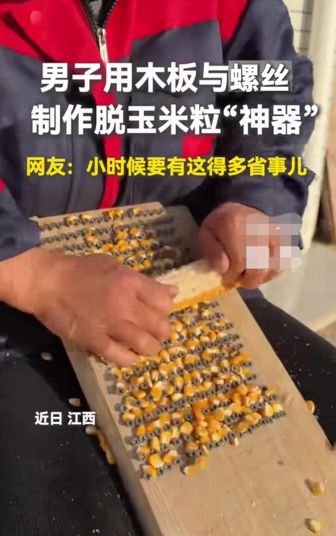 螺丝与木板相结合，能轻松脱离玉米粒。但要说它是“神器”，就有点言过其实了！
说起