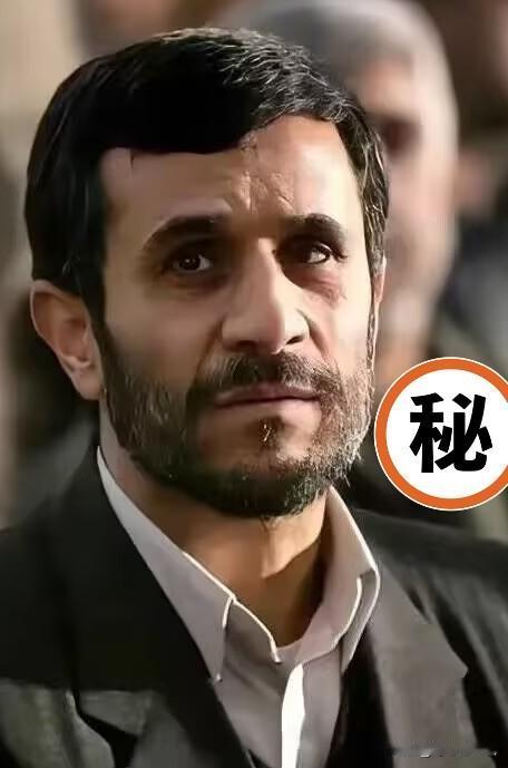 伊朗官员正式表态
4月29日，伊朗驻开罗利益代表处负责人菲尔多西普尔公开发声。他