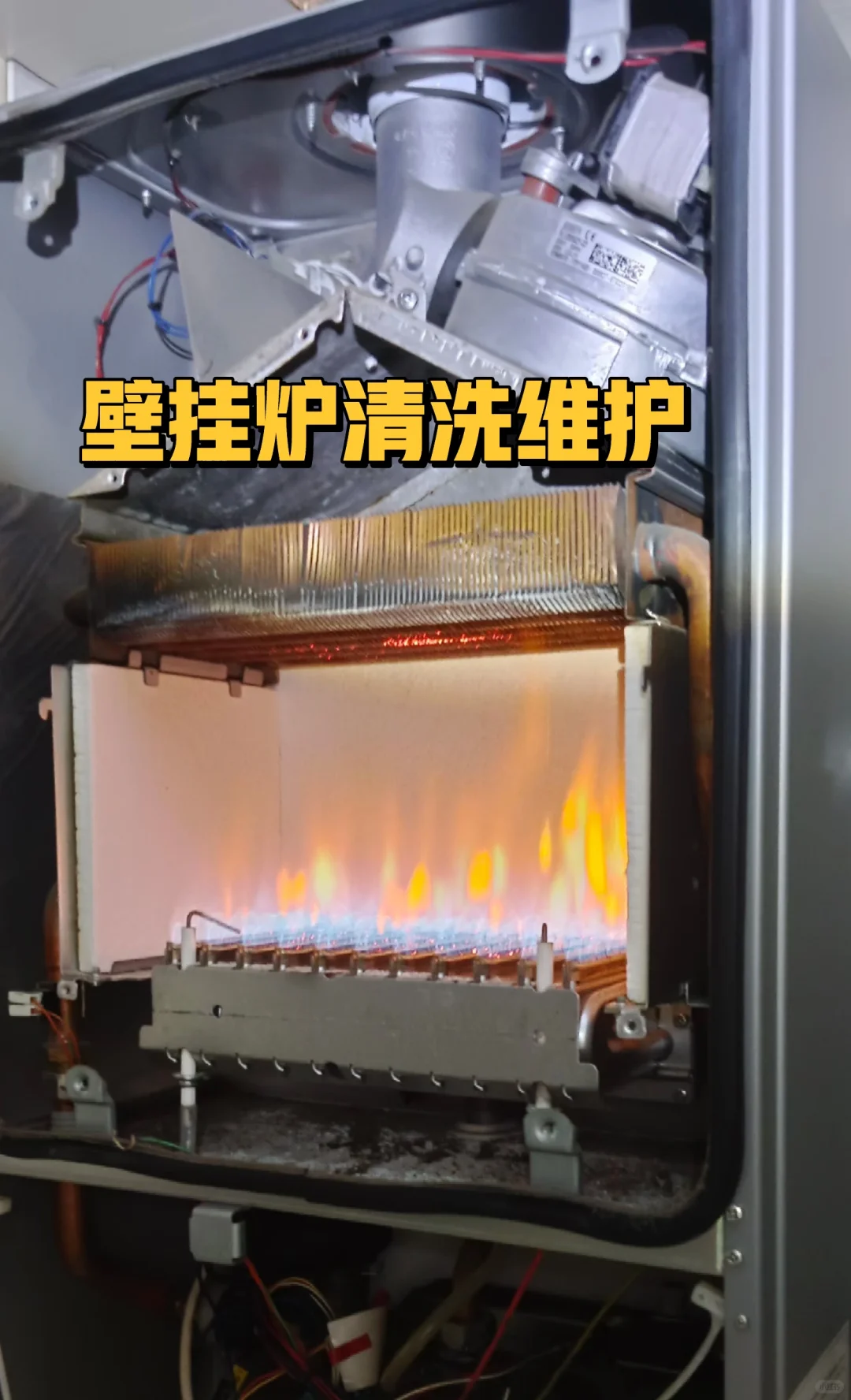 地暖暖气片壁挂炉清洗维护保养