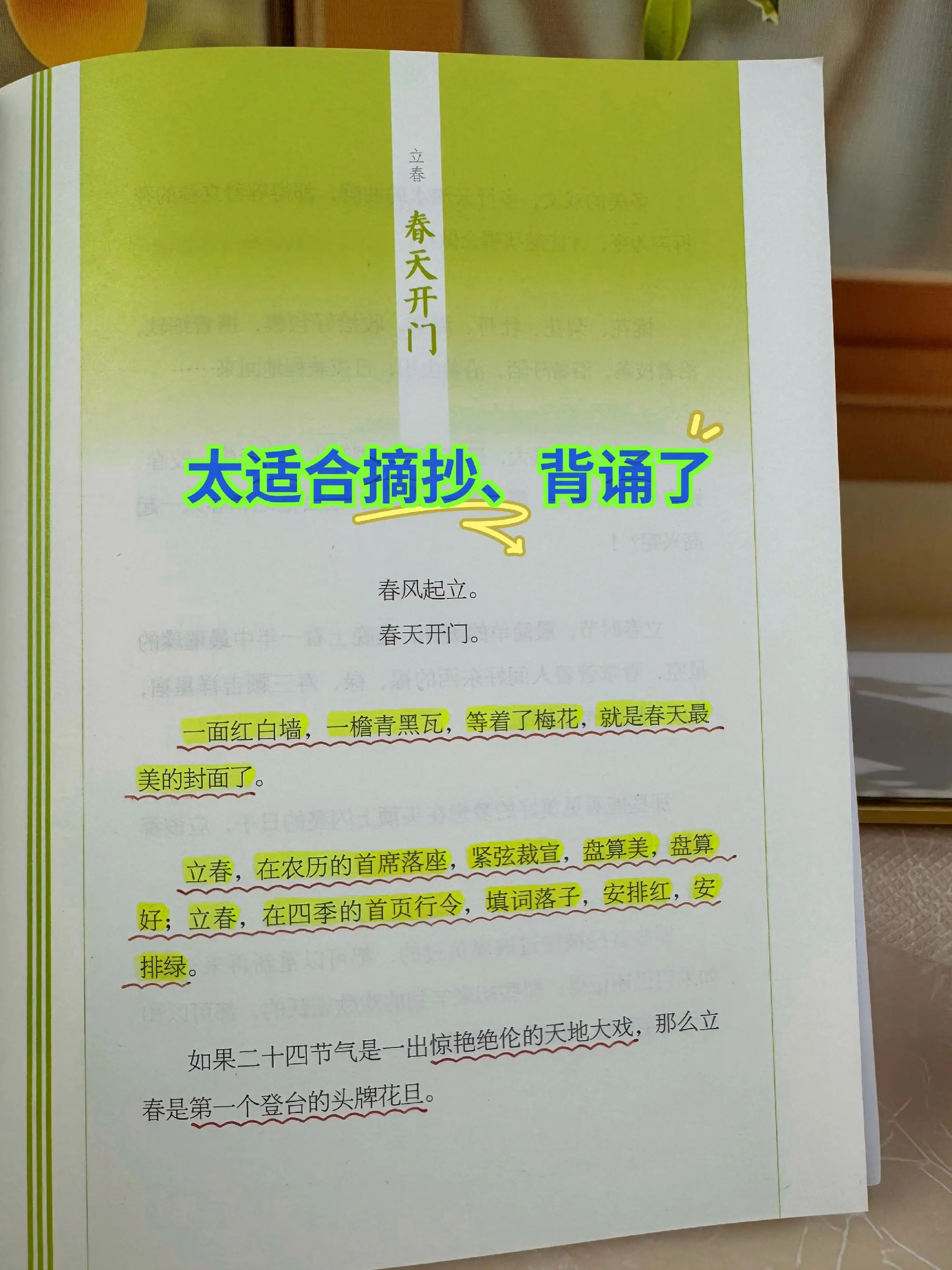 这套书让孩子的作文彻底开了窍✨。写作素材匮乏，写作文干巴巴的孩子，这套...