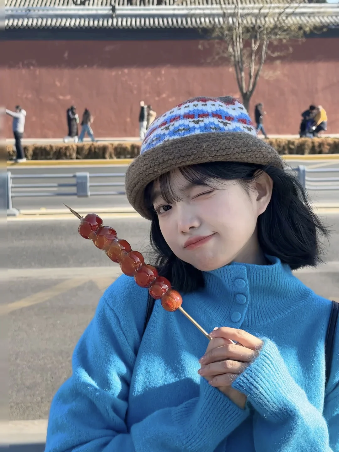 ✌︎︎• ◡•𝕪𝕖𝕖𝕖 ₊⁺. 请你吃北京糖葫芦🍡