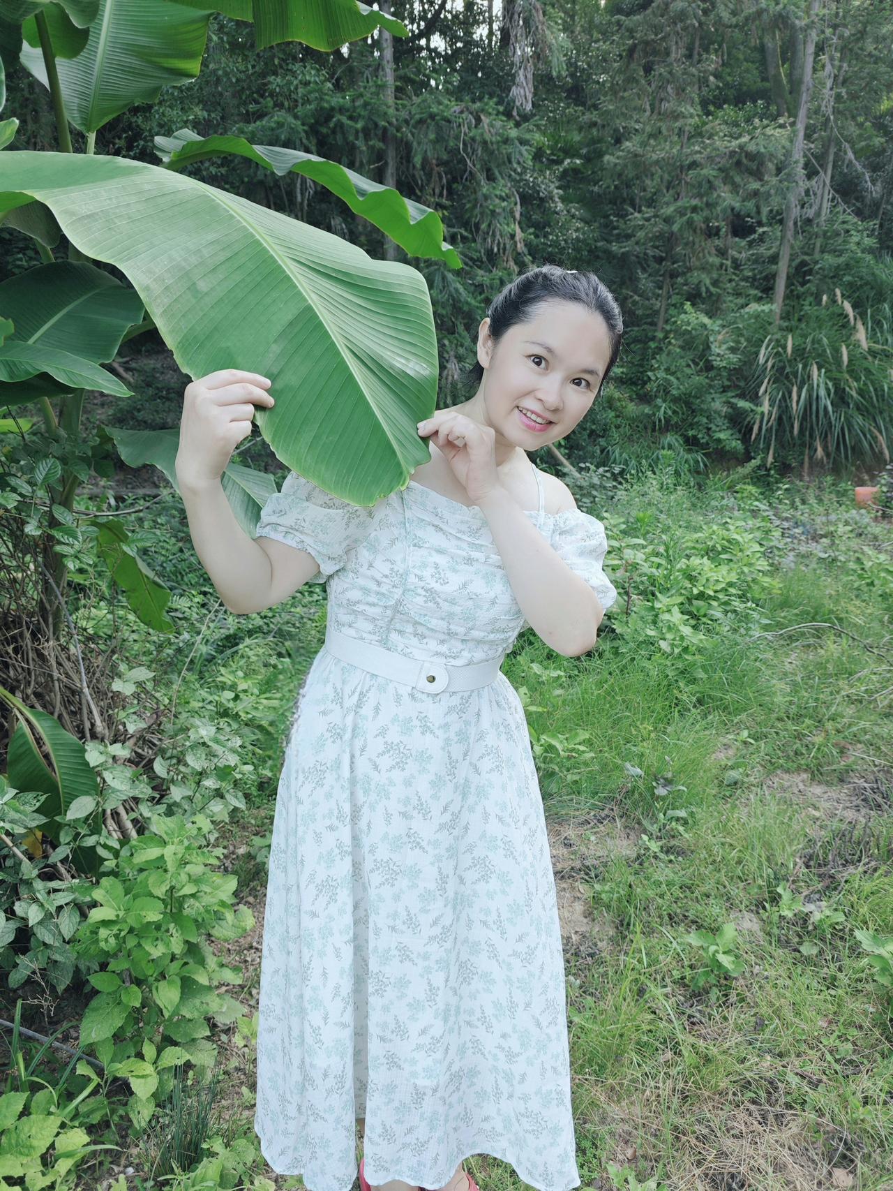 平日记•早安

山野有风，芭蕉有荫，在烟火之外，寻一份属于自己的悠然夏天。