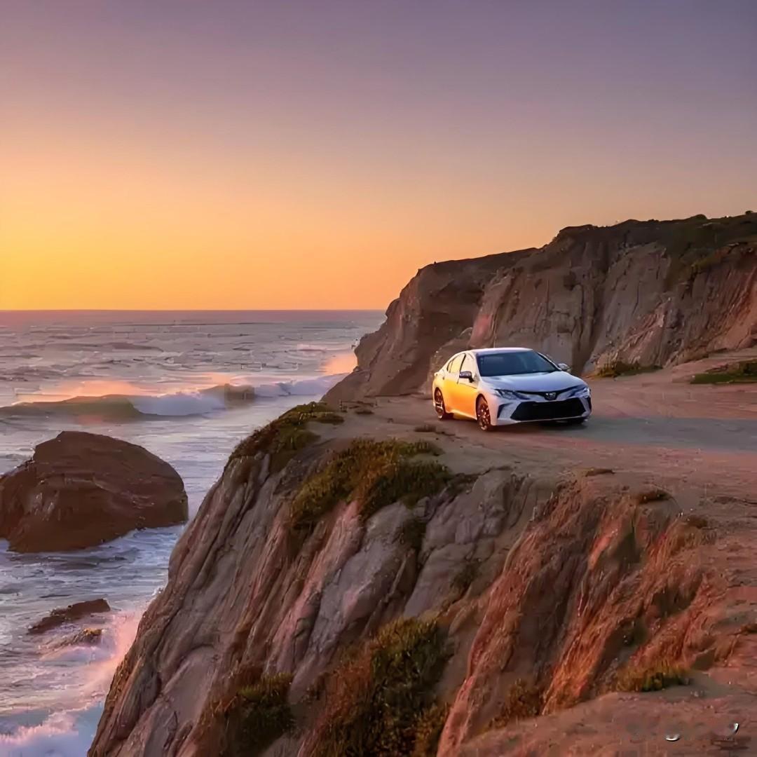 最耐用合资车型排行榜前十：
 
1. 丰田卡罗拉
2. 大众朗逸
3. 本田思域