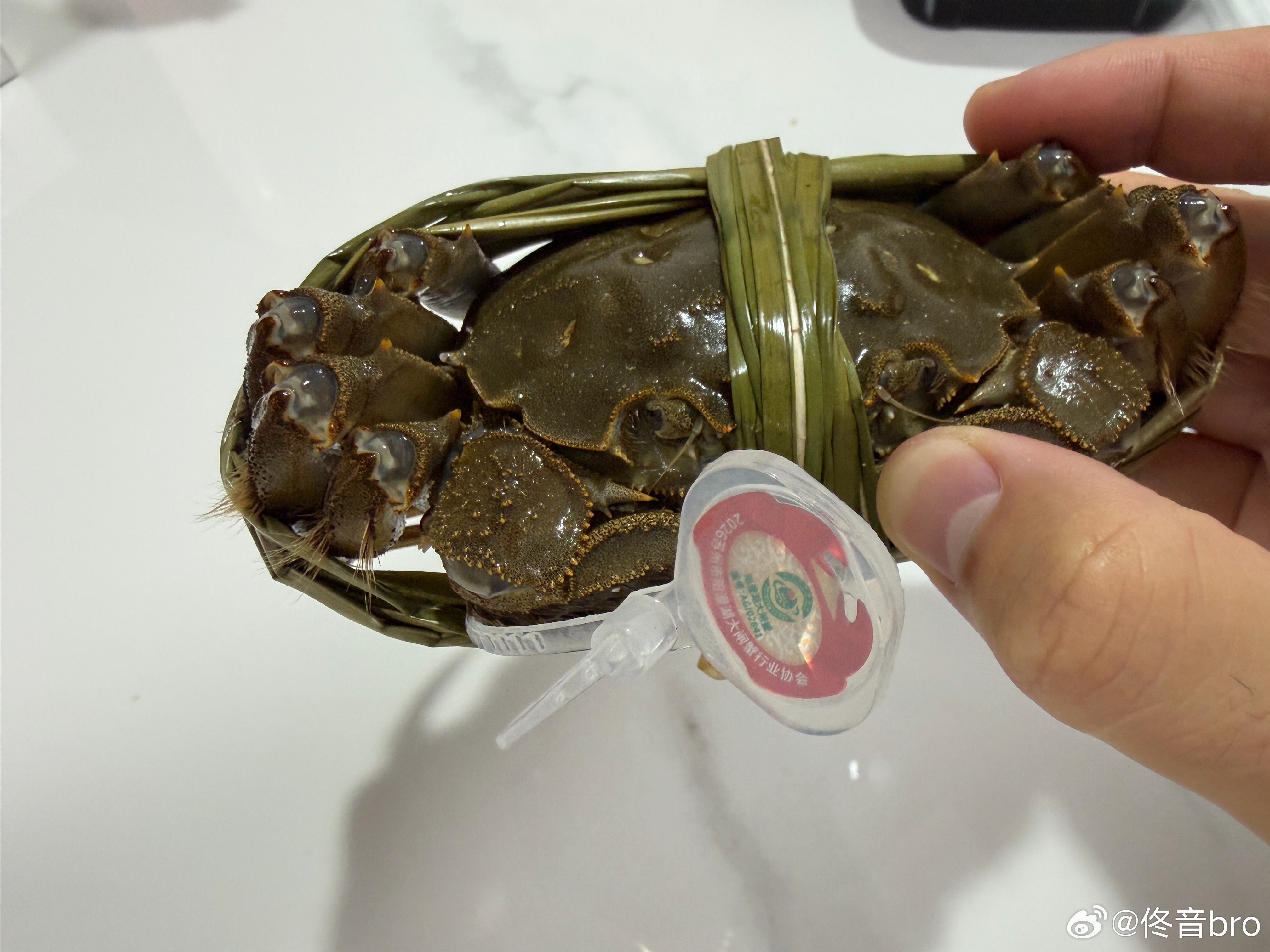 4两多的母蟹，猜这个大概多少钱一只[阴险] ​​​