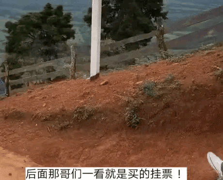 据我观察，还是这挂票更刺激，绝对值回票价[呲牙]